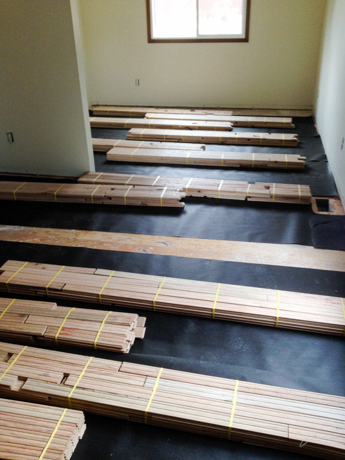 Dark Horse - Remodel and Move