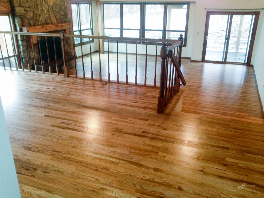 Dark Horse - Remodel and Move