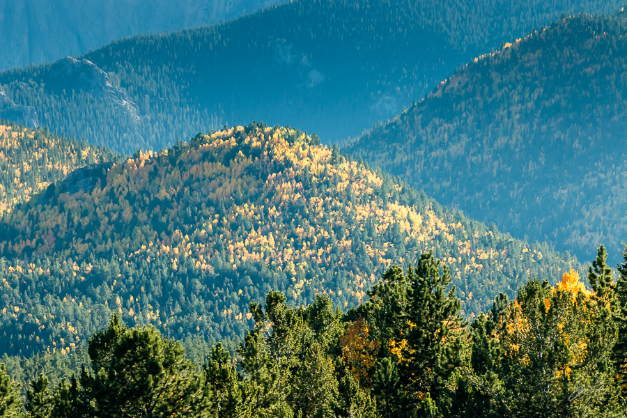 Fall Color, Pikes Peak