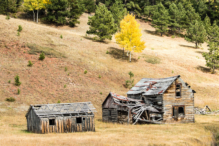 Abandoned Farm