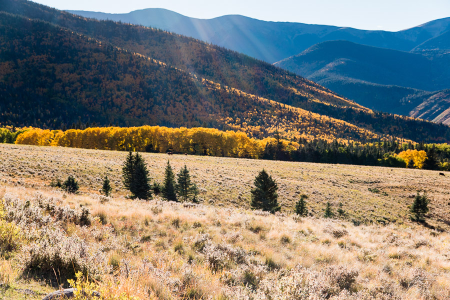 Fall color near the Spanish Peaks