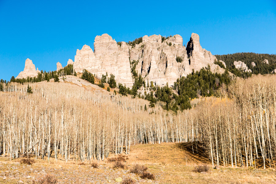 High Mesa