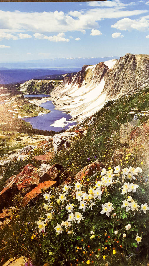 Snowy Mountain Range