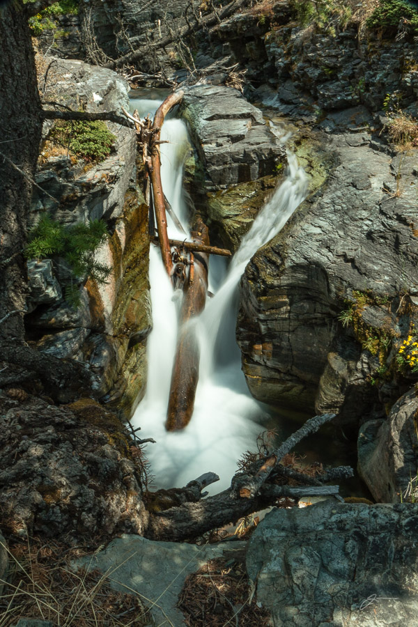 Glacier/Waterton National Park