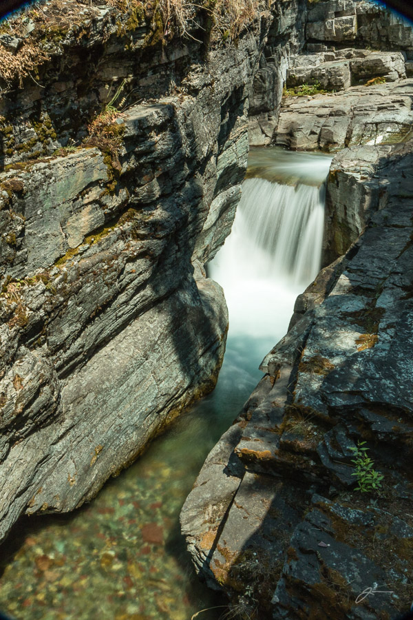 Glacier/Waterton National Park