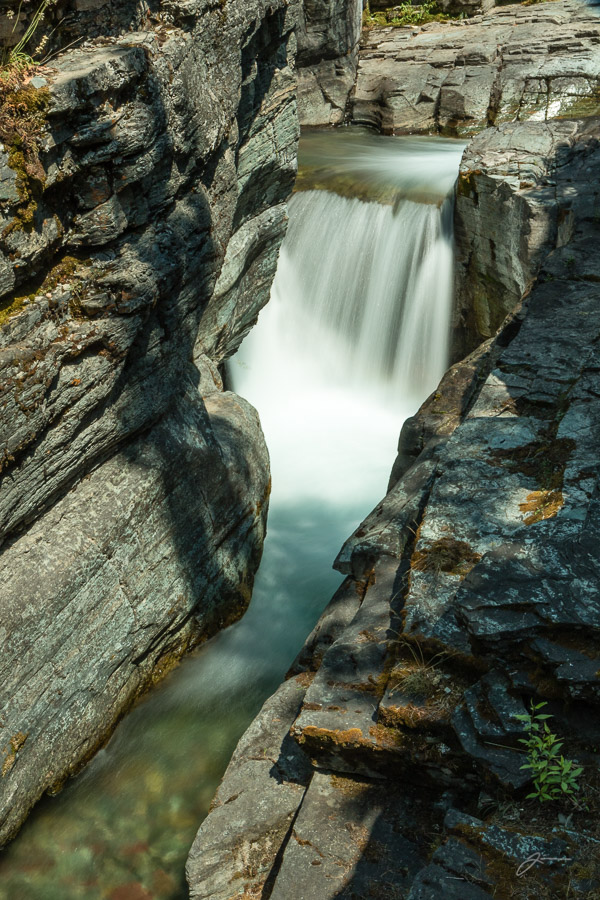 Glacier/Waterton National Park