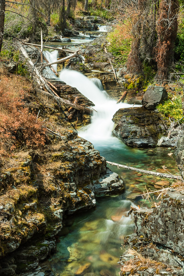 Glacier/Waterton National Park
