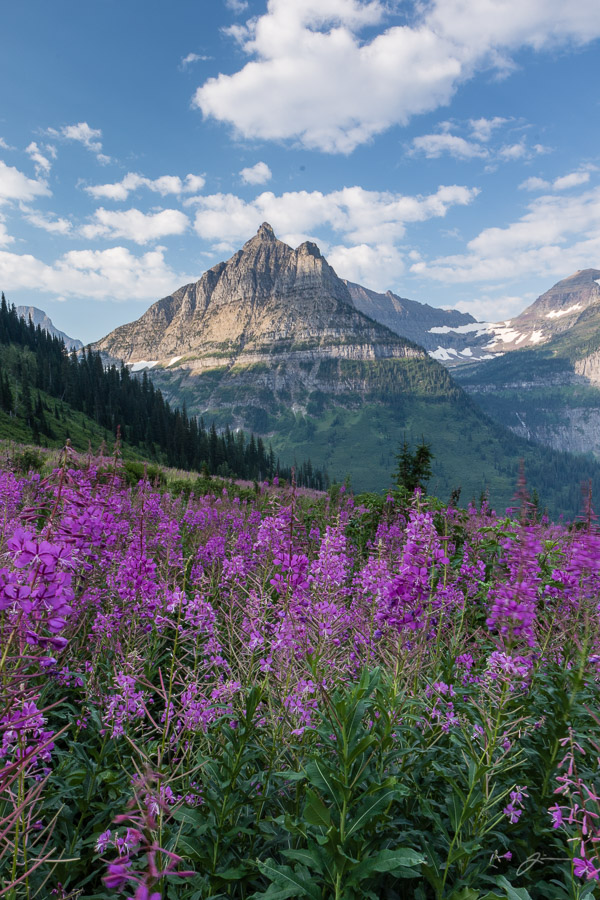 Glacier/Waterton National Park