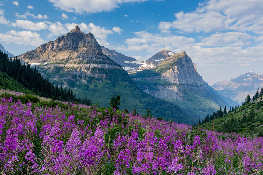 Glacier/Waterton National Park
