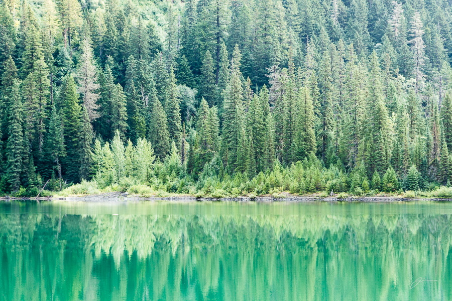 Glacier/Waterton National Park