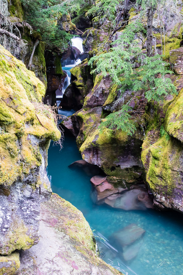 Glacier/Waterton National Park