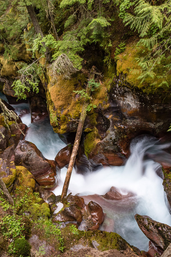 Glacier/Waterton National Park
