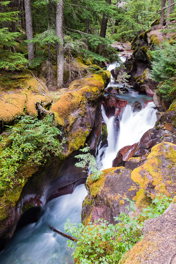 Glacier/Waterton National Park