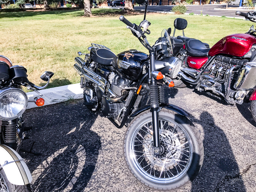 Triumphs in Taos 2017