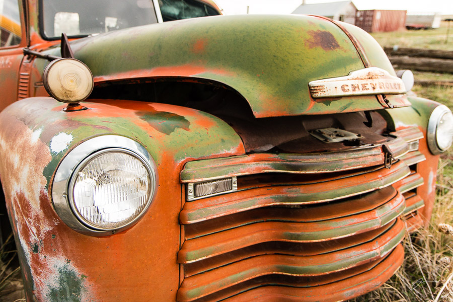 51-53 Chevy Pickup, Boyero, CO