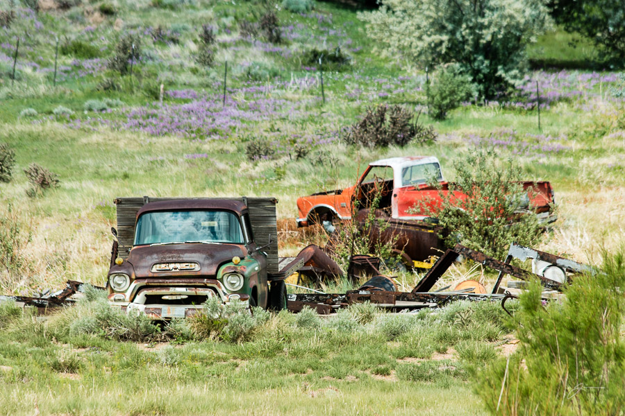 55-57 GMC truck near Pueblo, CO