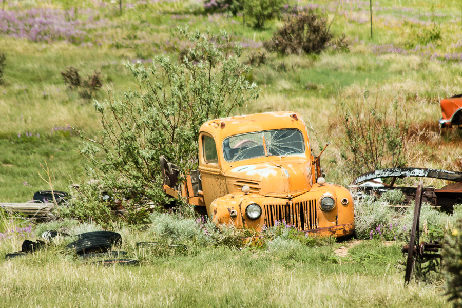 Old Ford truck near Pueblo, CO