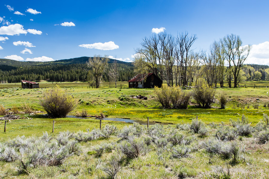 Abandoned farm in norther New Mexico