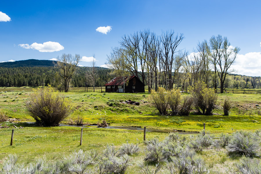 Abandoned farm in norther New Mexico