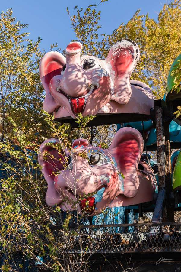 County fair graveyard
